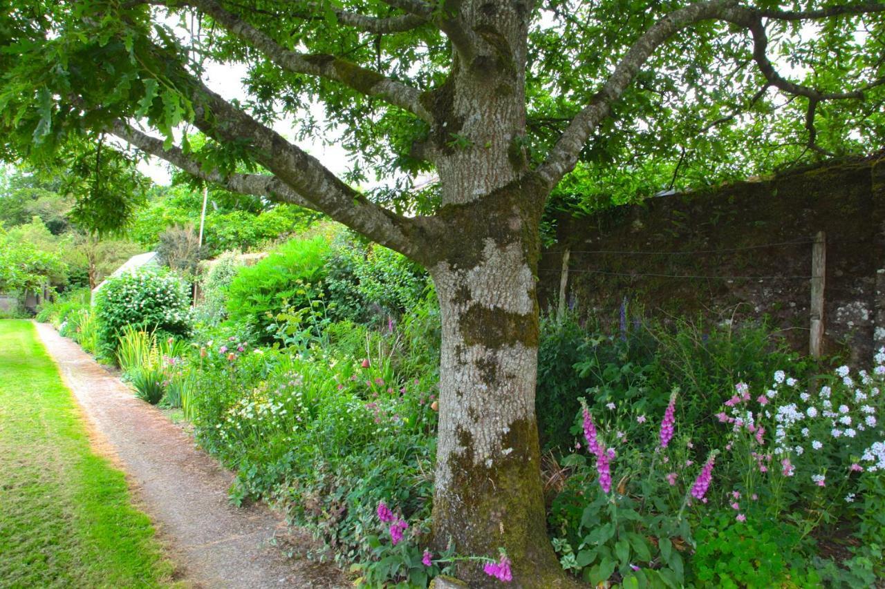 Willowhill House Minane Bridge Eksteriør bilde